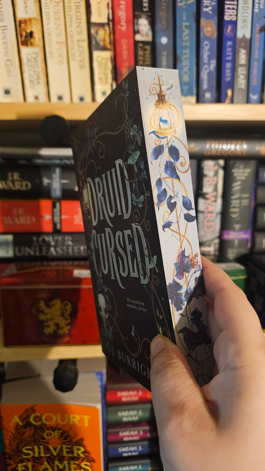 Druid Cursed by C.J. Burright