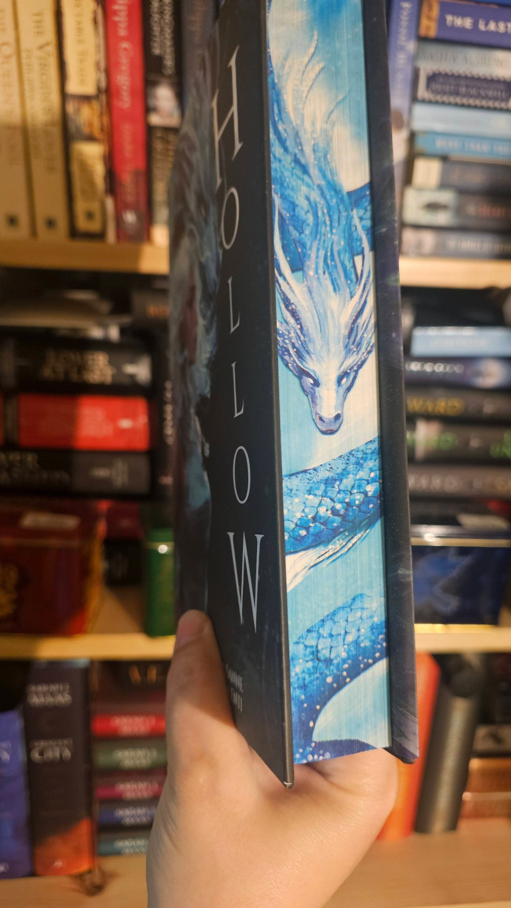 Hollow by Caroline Peckham & Susanne Valenti (Crown of Hearts and Chaos, Book 1)