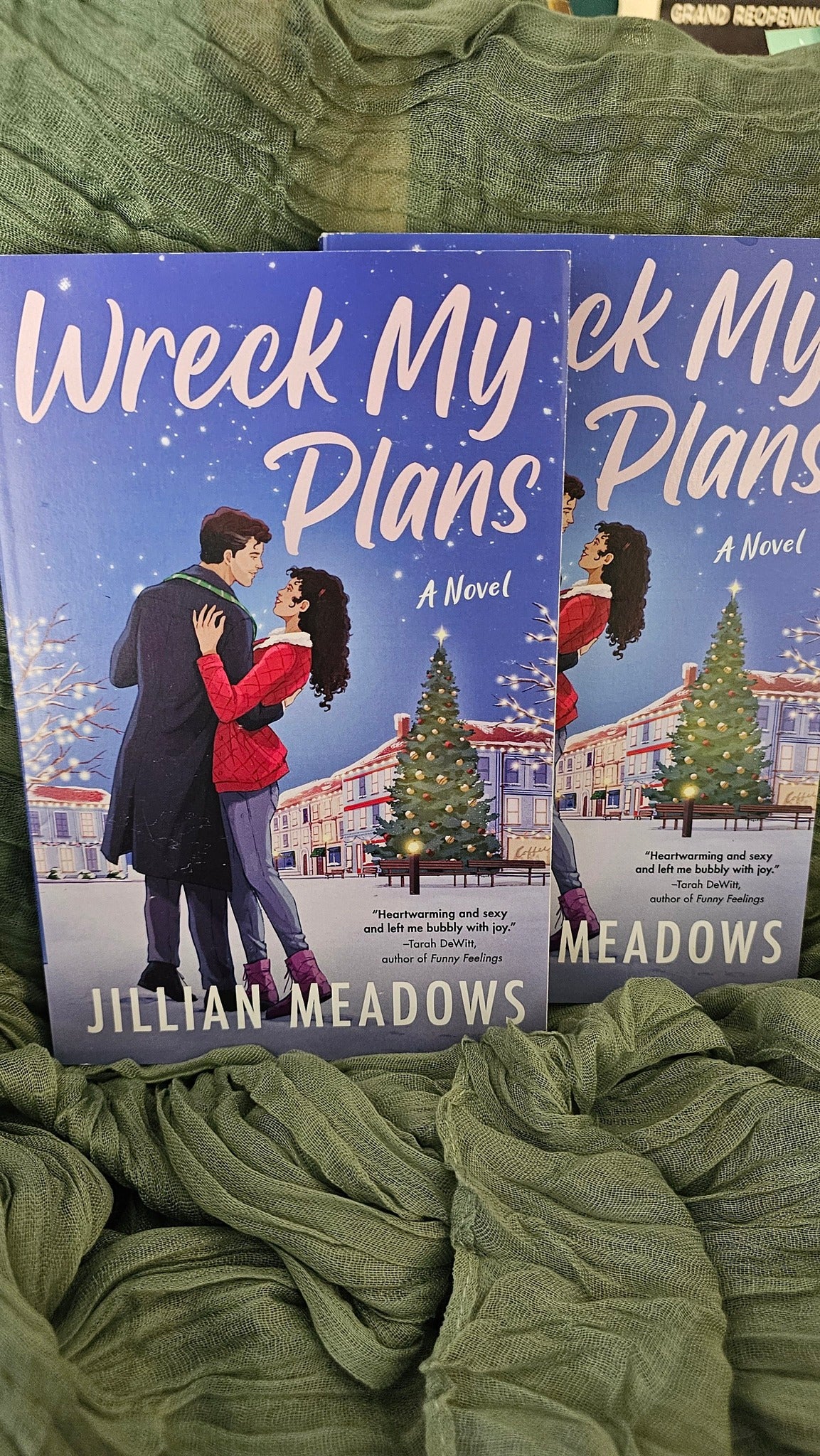 Wreck My Plans by Jillian Meadows