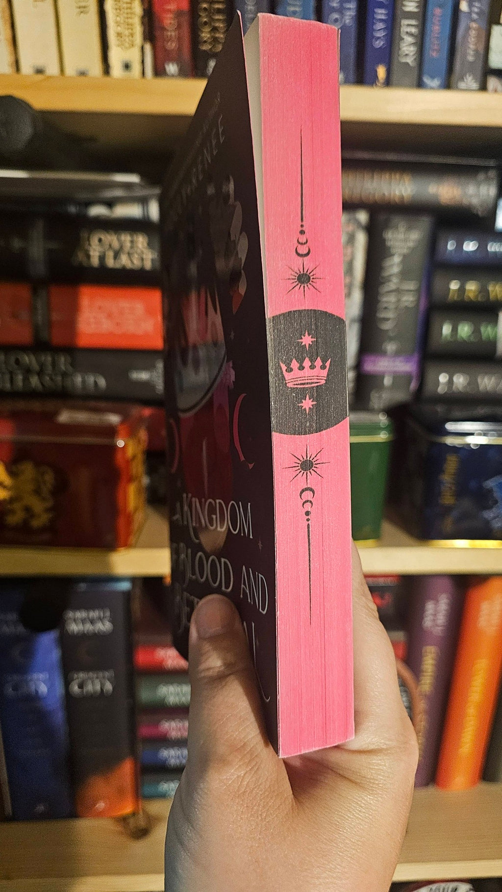 A Kingdom of Blood and Betrayal by Holly Renee (Stars and Shadows, Book 2)