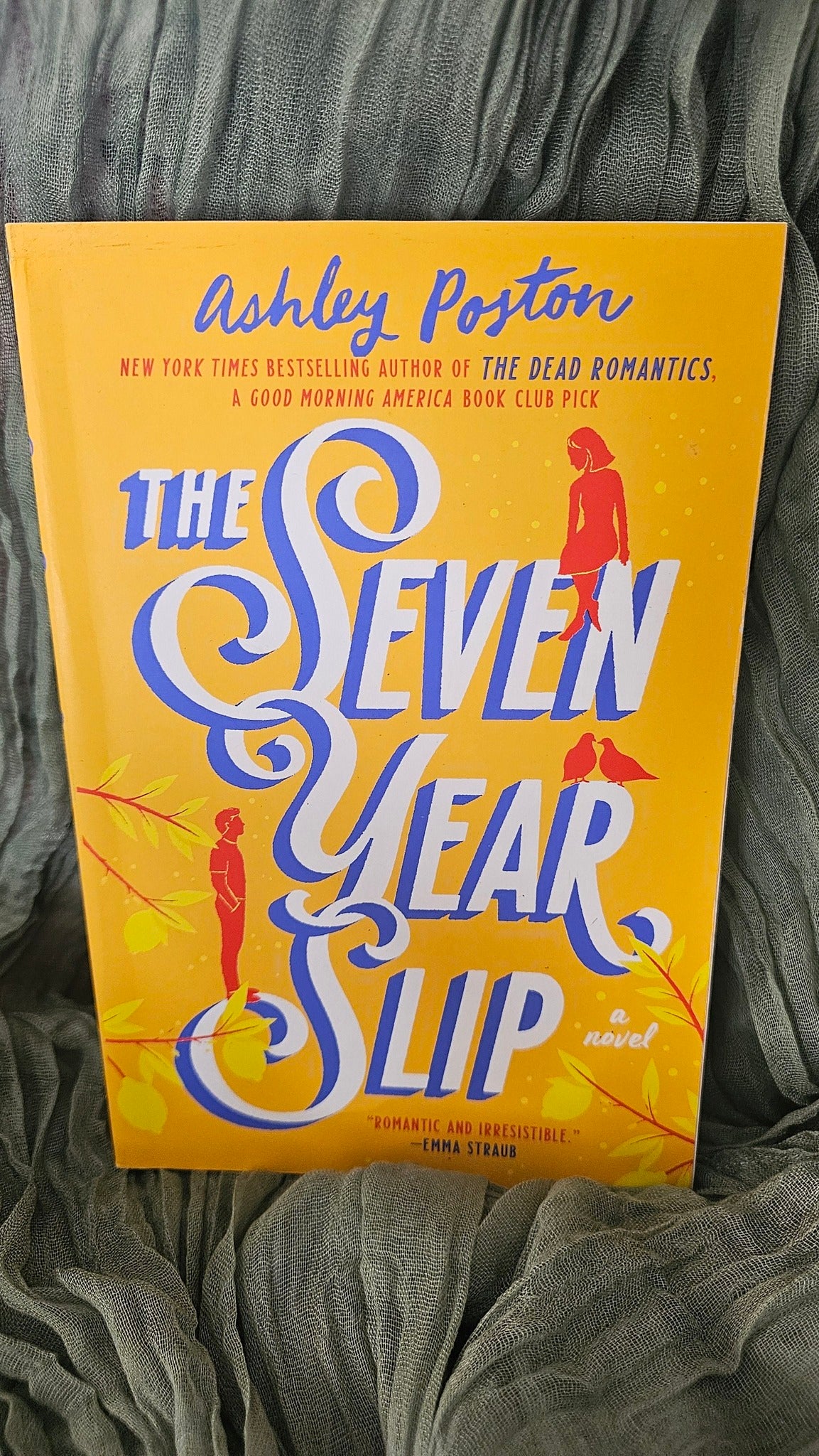 The Seven Year Slip by Ashley Poston