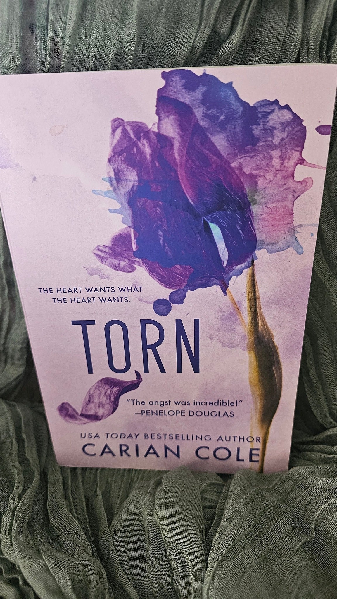 Torn by Carian Cole (All Torn Up Series)