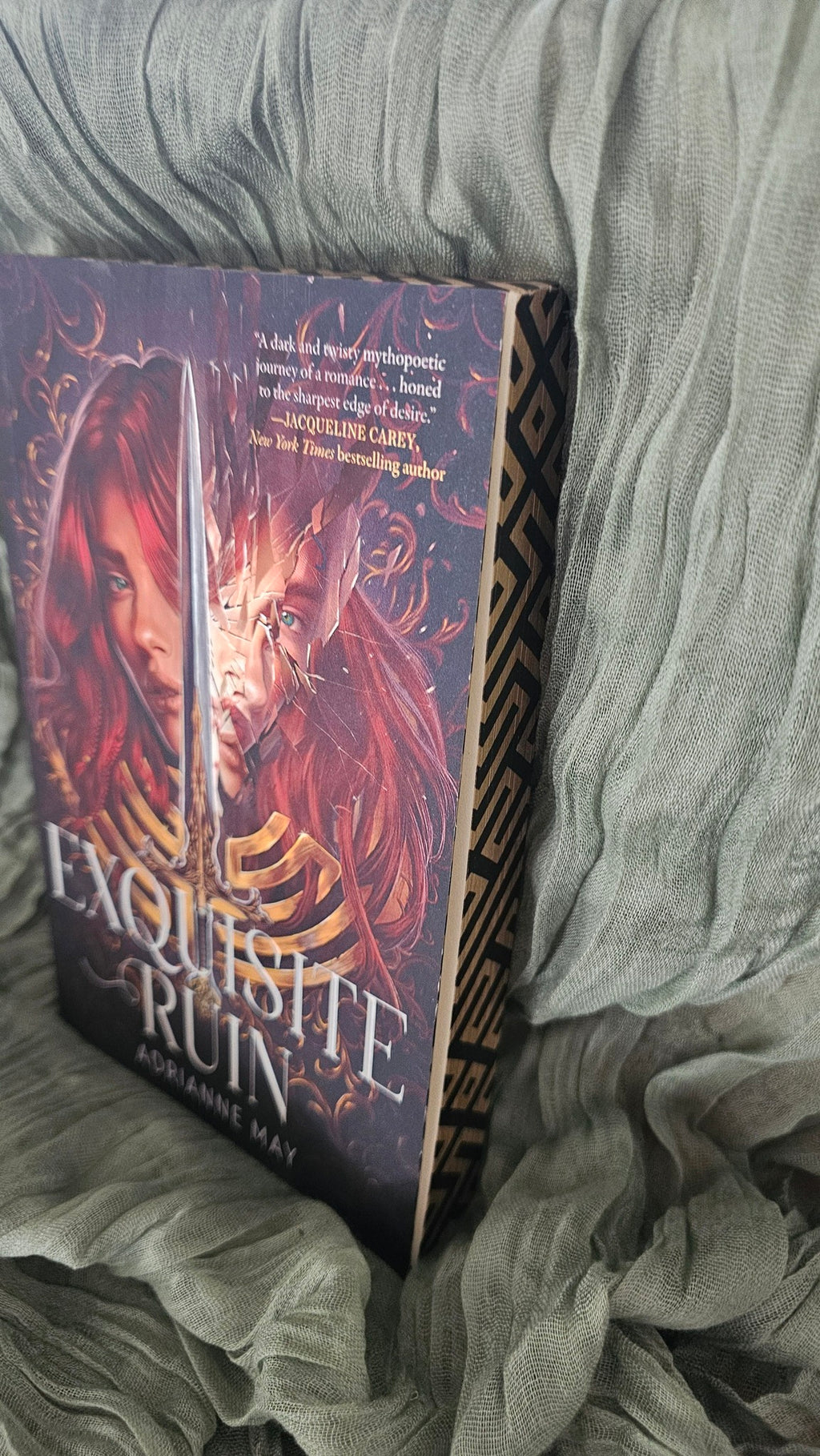 Exquisite Ruin by Adrienne May